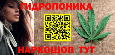 кокс Моздок