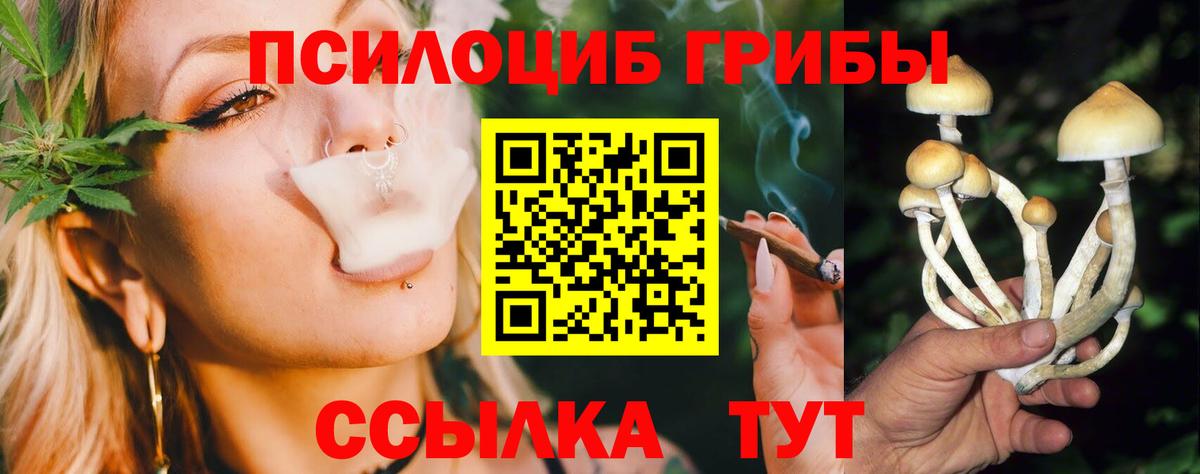Псилоцибиновые грибы мухоморы Югорск